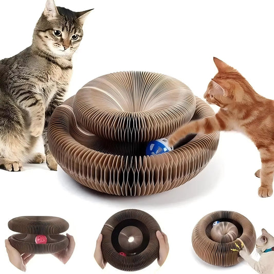 Magic Cat Scratch Organ Board: Interactive Claw Grinding and Climbing Toy for Kittens with Ball and Corrugated Scratching Surface